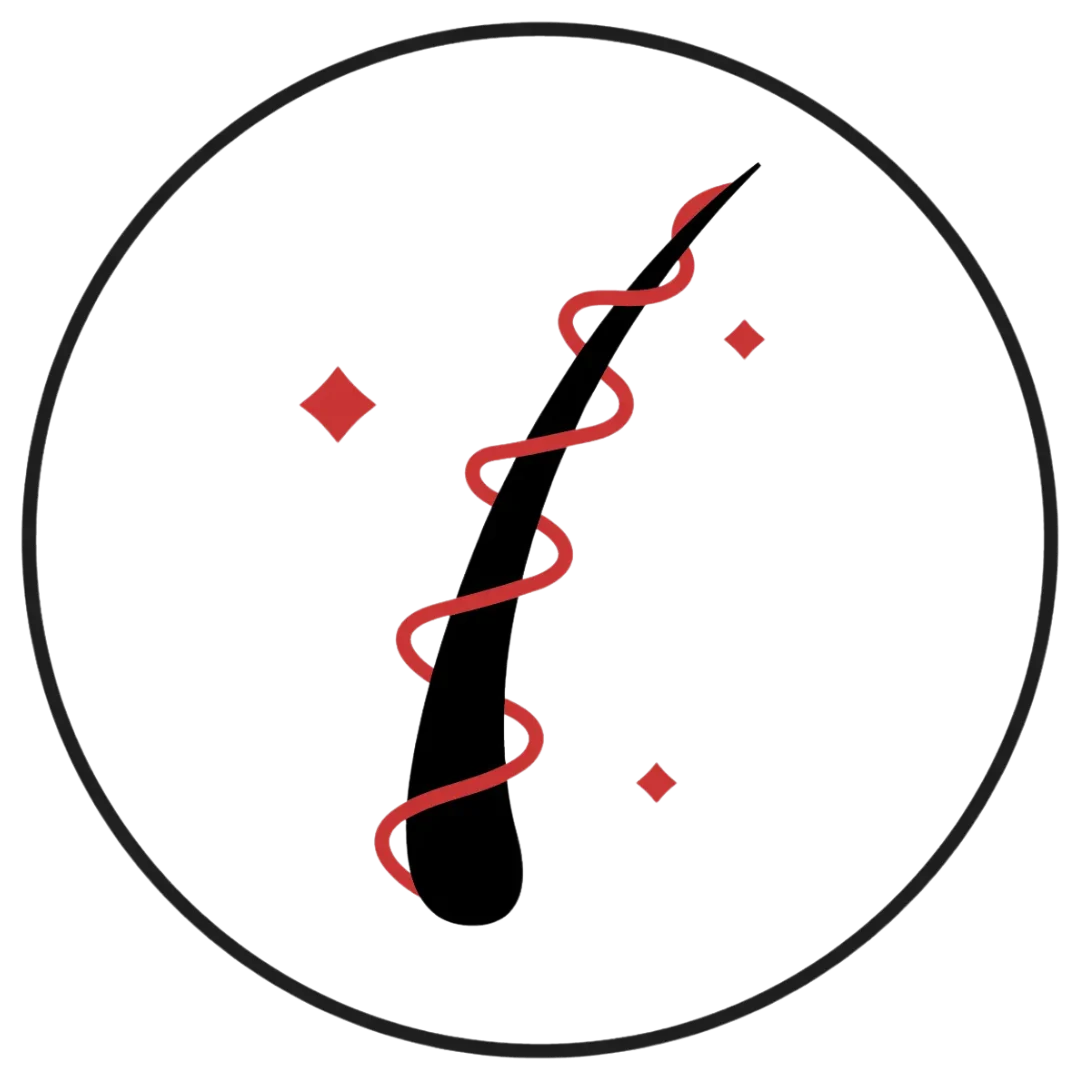 العناية بالشعر